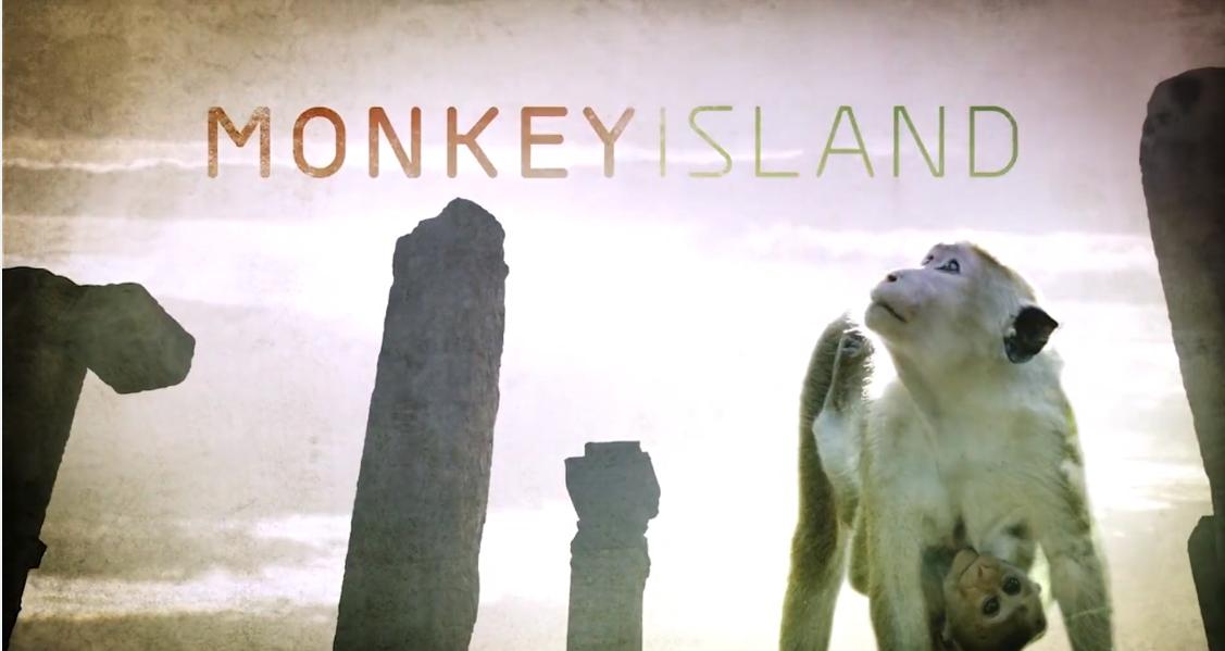 Monkey Island (2018) постер